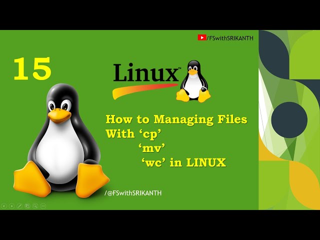 How to Managing Files With ‘cp’ ‘mv’ and ‘wc’ in LINUX | Linux Command Line Tutorial For Beginners |