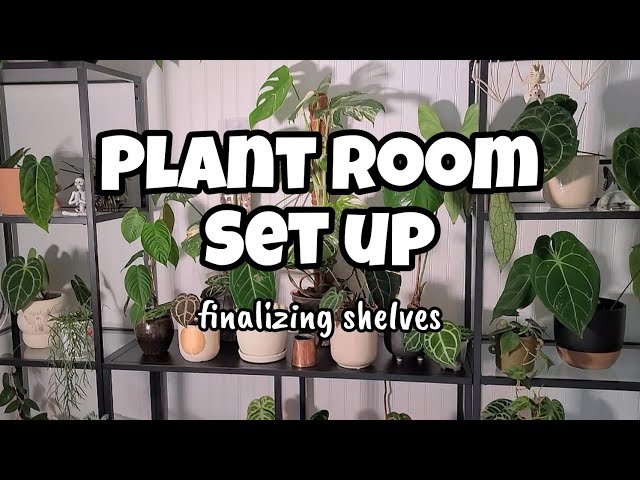 Setting Up the Plant Room Vlog Part 1 🌿🖤 putting together & decorating shelves