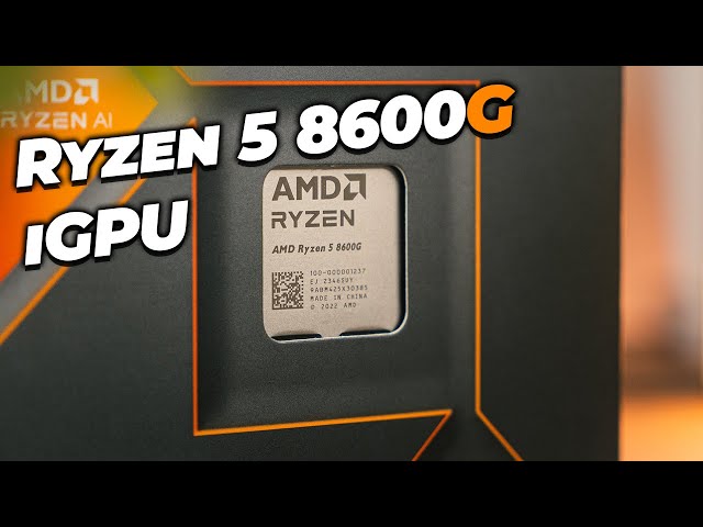 No GPU No Problem! Ryzen 5 8600G iGPU