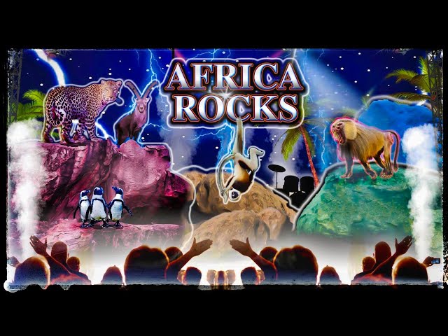 Zoo Tours: The Award Winning Africa Rocks | San Diego Zoo (2017)