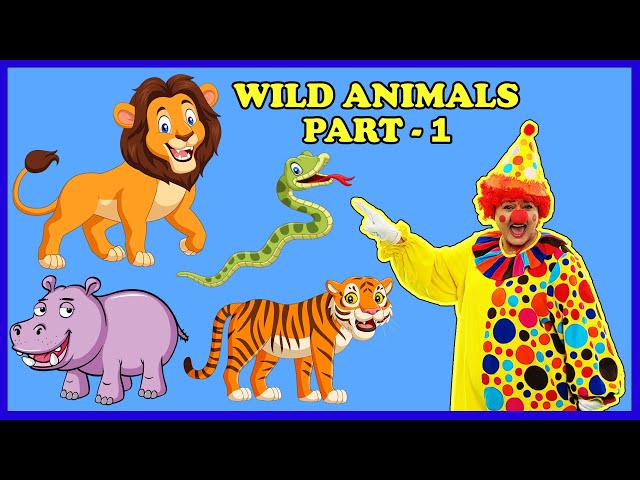 Wild Animals Name | Zoo Animal Names | Learn Wild Animals | Video for Kids | Lion | Tiger | Elephant