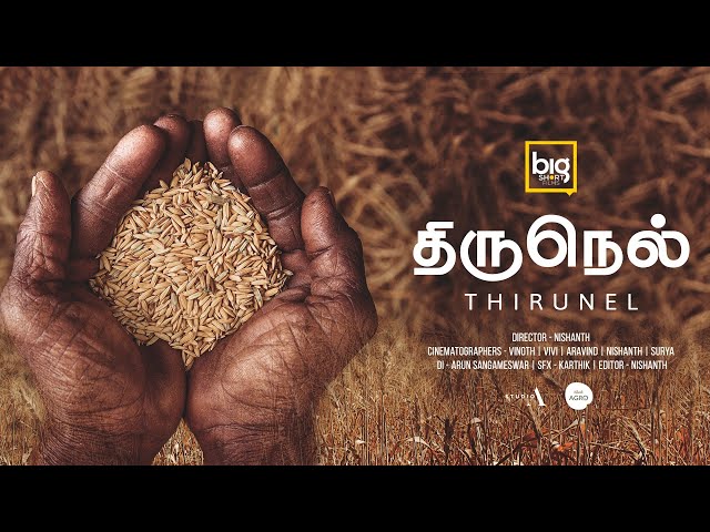 THIRUNEL ~ திருநெல் | Story of Indigenous Rice Varieties of India