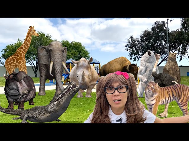 Largest Land Animals For Kids | Soso Turns Her Largest Land Animal Toys To Life!