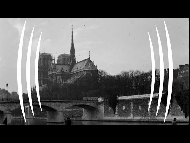 Notre-Dame de Paris,  Paris France (BINAURAL AUDIO IMMERSION) - The Sound Traveler
