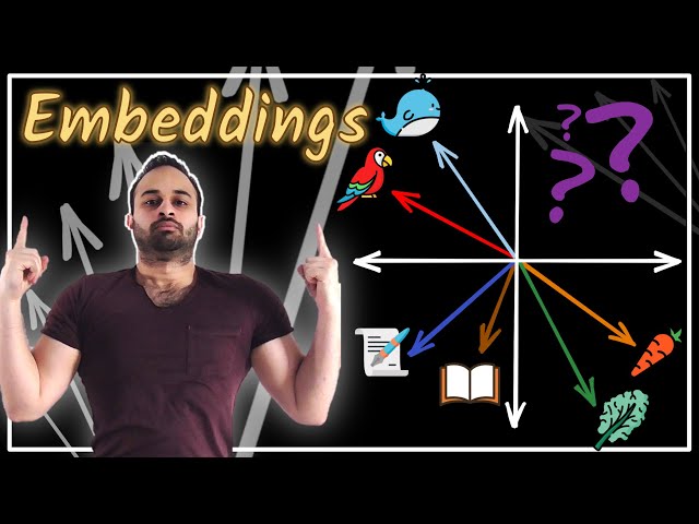 The Biggest Misconception about Embeddings