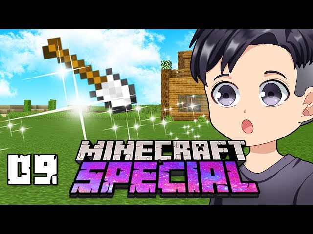 DER BODEN WIRD NOCH SCHÖNER GEMACHT?! - Minecraft SPECIAL #09