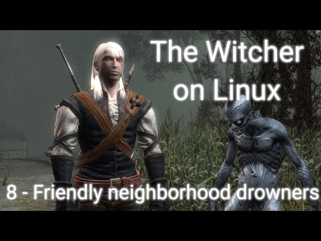 The Witcher on Linux - Part 8 - Friendly Neighborhood Drowners