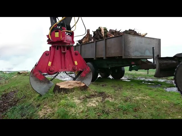 Dangerous Powerful Stump Removal Excavator Working, Fastest Stump Removal Grinding Machines