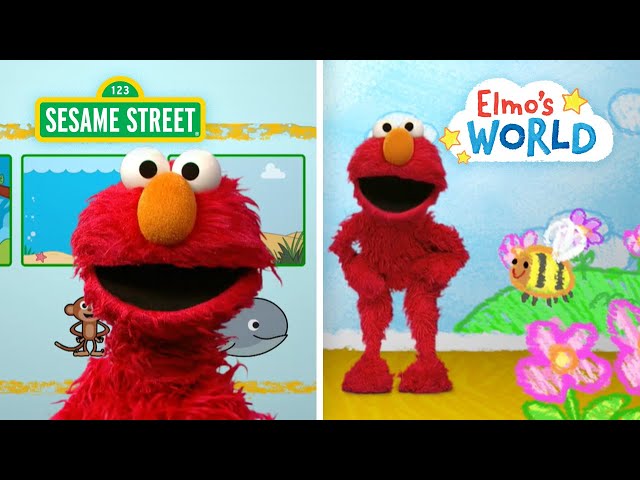 Sesame Street: Learn About ANIMALS | Elmo's World Compilation