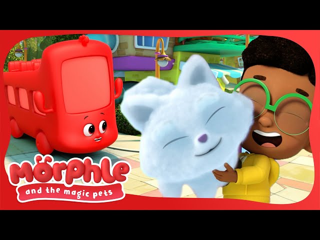 Morphle The Bus | Magic Stories and Adventures for Kids | Available on Disney+ and Disney Jr