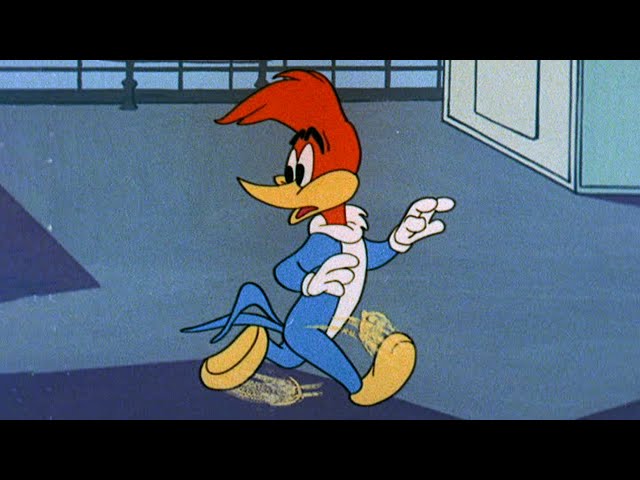 Run and Hide Woody! | 2.5 Hours of Classic Episodes of Woody Woodpecker