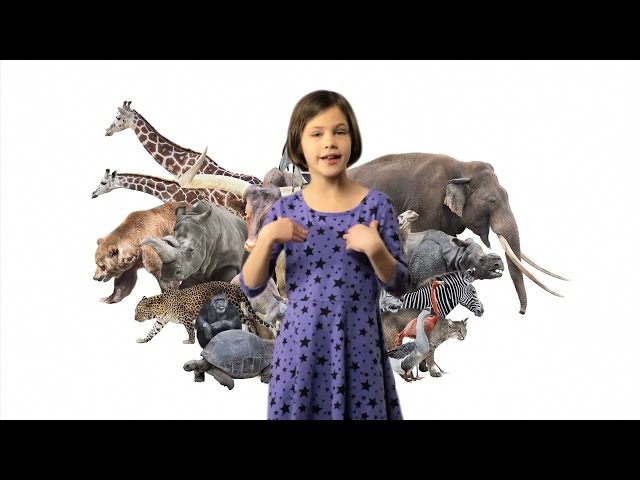 ASL Animals Song Lesson for Kids - Learn how to sign Animals with Fireese