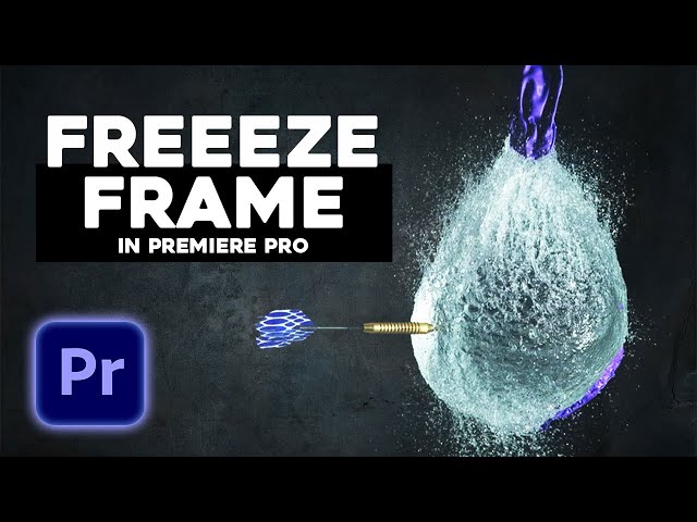 Frame Einfrieren oder Pausieren in Premiere Pro