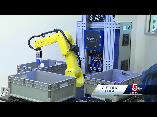 These cutting edge industrial robots bring a softer touch