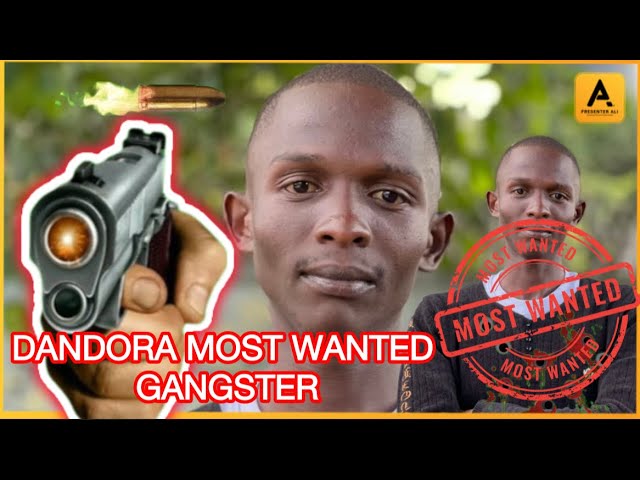 THE MOST WANTED GANGSTER IN DANDORA! THE UNTOLD STORY OF MOHA FROM DANDORA