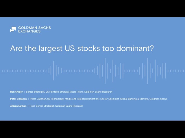Are the largest US stocks too dominant?