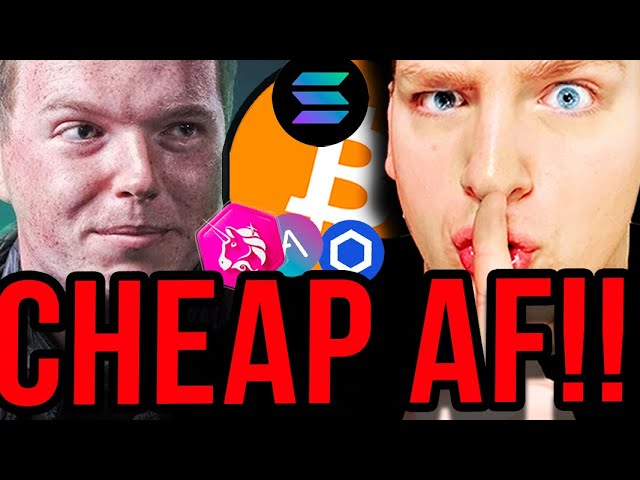 DIRTY CHEAP UNDERVALUED ALTCOINS BELOW $1 THAT CAN MAKE YOU RICH!!! (with @ThatMartiniGuy )