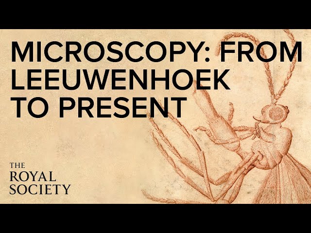 From Leeuwenhoek to the electron microscope | The Royal Society