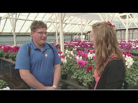 Careers in Horticulture and Market Gardening