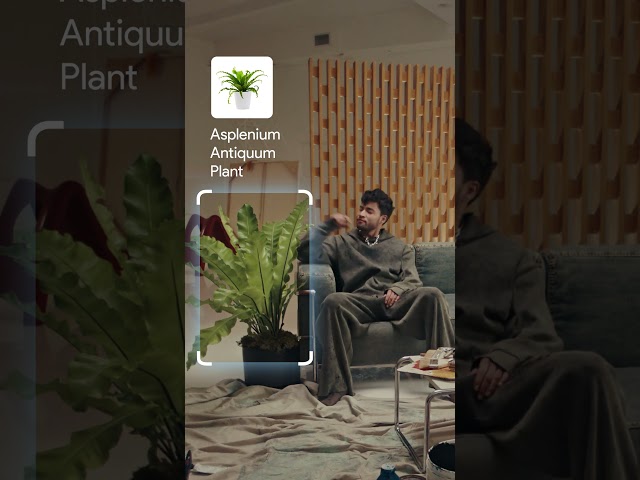 Now you can know more about your plant friends 💚 Circle to Search, only on Android.