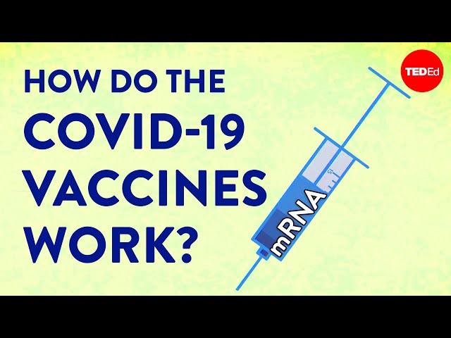 How the COVID-19 vaccines were created so quickly - Kaitlyn Sadtler and Elizabeth Wayne