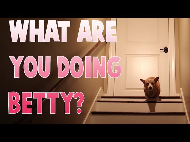 WHAT ARE YOU DOING BETTY? - Family Baby Vlogs