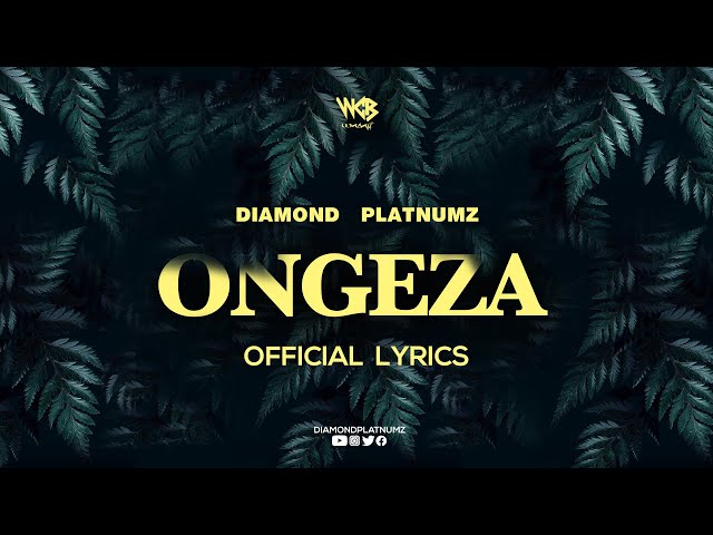 Diamond Platnumz - Ongeza (Official Lyrics)