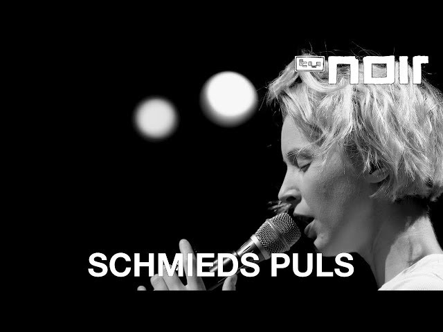 Mira Lu Kovacs (aka. Schmieds Puls) - I Will (Radiohead Cover) (live bei TV Noir)