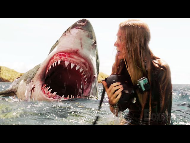 Ihr bleiben nur 30 Sekunden, um diesem RIESIGEN Hai zu entkommen | The Shallows | German Clip 🔥 4K