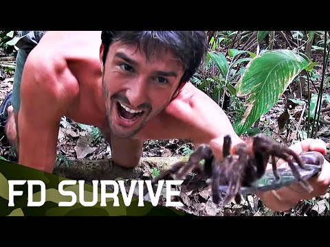 Born To Be Wild: South America | Andrew Ucles | FD Survive