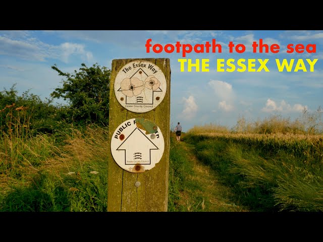 Walking The Essex Way from Manningtree to Harwich (4K)