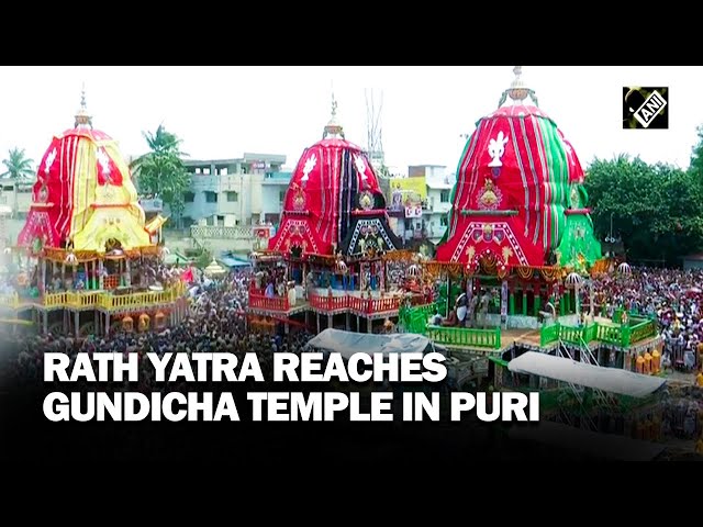 Odisha: Chariots of Lord Jagannath and siblings reach Gundicha temple in Puri