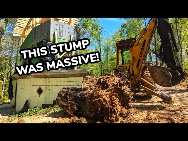 Stump Removal Round 2! - Can my Old Backhoe Excavate This Thing Out?