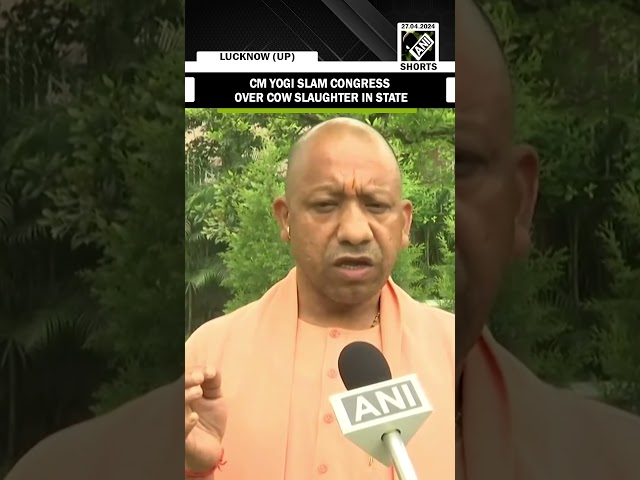 "Gaukashi karne ki chhut..." CM Yogi slams Congress over cow slaughter in state