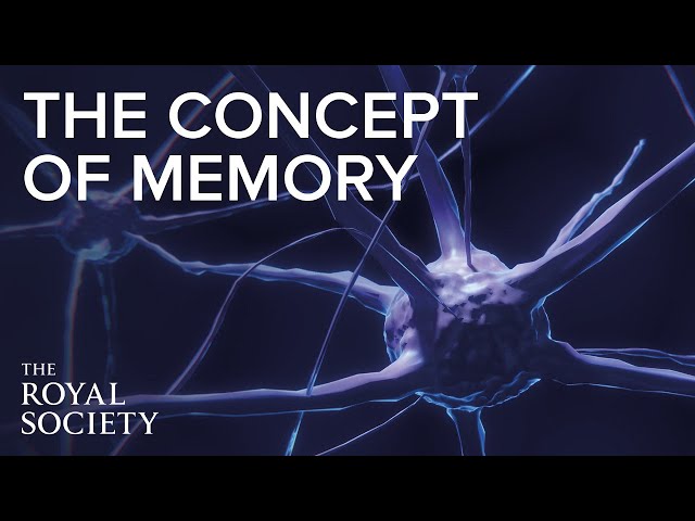 The making, keeping and losing of memory | Ferrier Prize Lecture 2023
