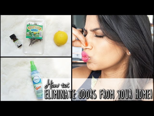 DIY: Make your house smell good! Eliminate home odors | Arshia's Makeup