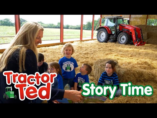 Let's Read On The Farm 📚 | Tractor Ted Compilation | Tractor Ted Official Channel