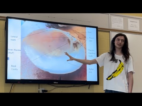 Environmental Presentations