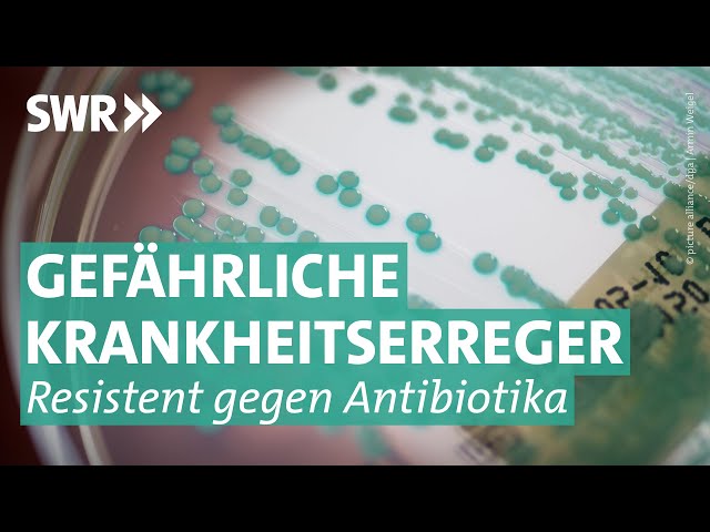 Multiresistente Keime - wenn Antibiotika nicht mehr helfen | Doc Fischer SWR
