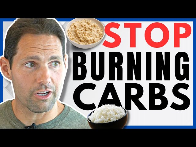 Dr. D’Agostino | How to Burn Fat NOT Carbs (fat adaptation)