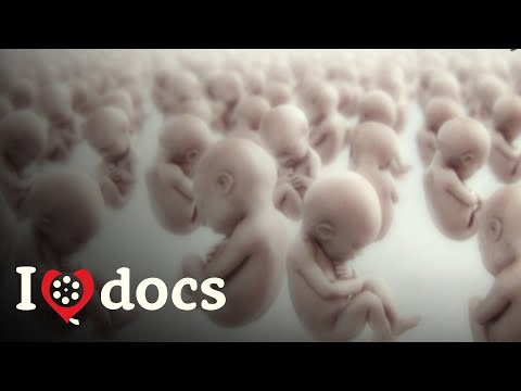 The Common Chemicals That Are Making Men Infertile - The Disappearing Male - Science Documentary