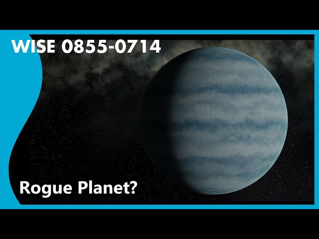 WISE 0855 - Rogue Planet?