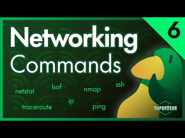 Linux for Programmers #6 | Networking Commands