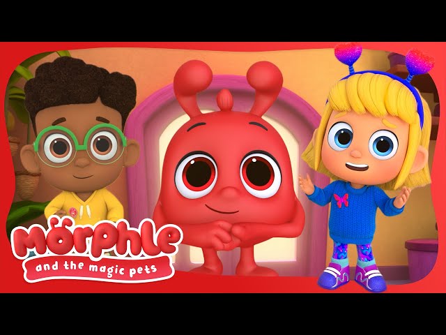 Squeaky Clean Song🧹 Morphle and the Magic Pets🧹 Education Show For Toddlers