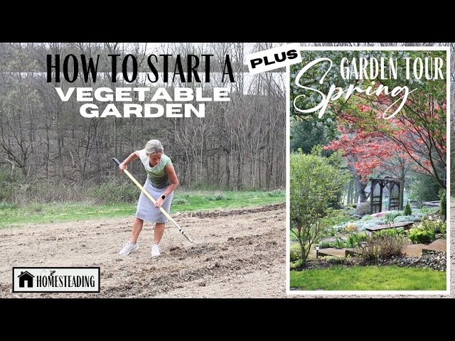 Starting a Vegetable Garden ~ Spring Garden Tour ~ Growing your own Food ~ Small Property Homestead