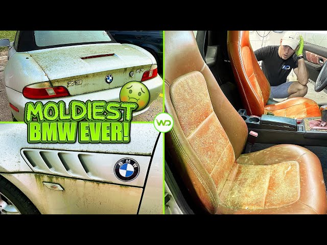 Deep Cleaning the MOLDIEST BIOHAZARD BMW EVER! | Satisfying DISASTER Car Detailing Transformation