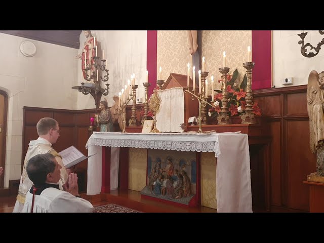 Benediction with Holy Rosary - The Joyful Mysteries