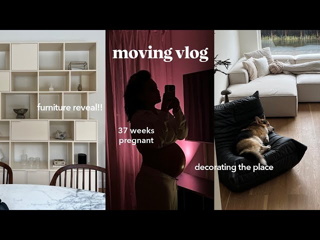 movingvlog: first week in the new place, furniture reveal, let’s make this house a home!