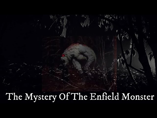 The Mystery Of The Enfield Monster | Most Chilling Scary True Story | Horror Short Story