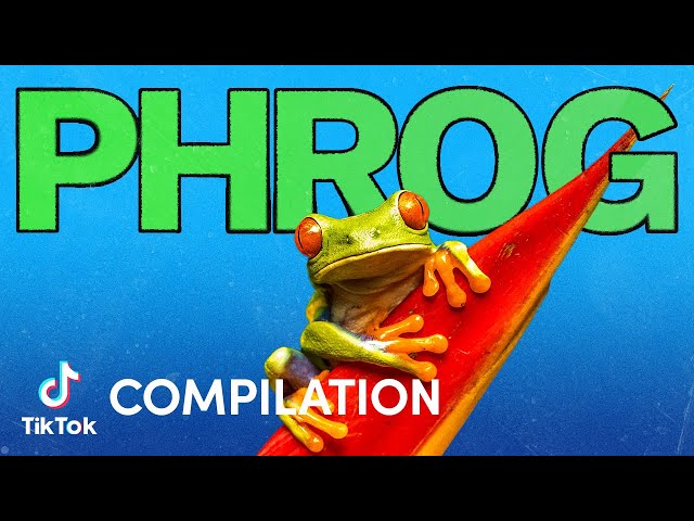 Phrog | Compilation | TikTok